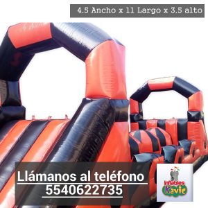 Renta de juegos inflables toluca | acuaticos | adultos
