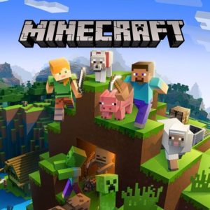 Juegos Inflables de Minecraft